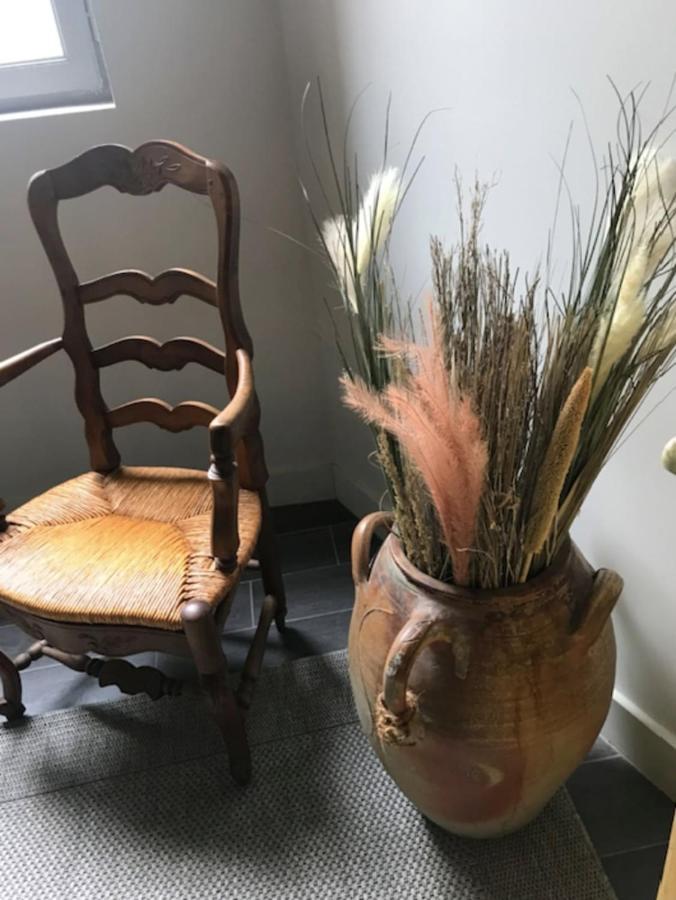 La Doucette Provencale Cozy Nest In Avignon Apartment Exterior photo